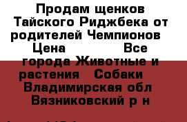 Продам щенков Тайского Риджбека от родителей Чемпионов › Цена ­ 30 000 - Все города Животные и растения » Собаки   . Владимирская обл.,Вязниковский р-н